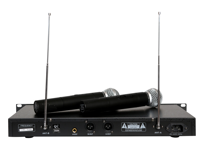 Wireless microphone WE-2012